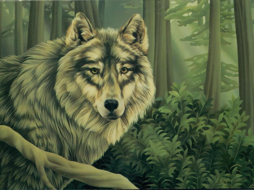 Grey Wolf Painting Wallpaper,animals Hd Wallpaper,grey - HD Wallpaper 