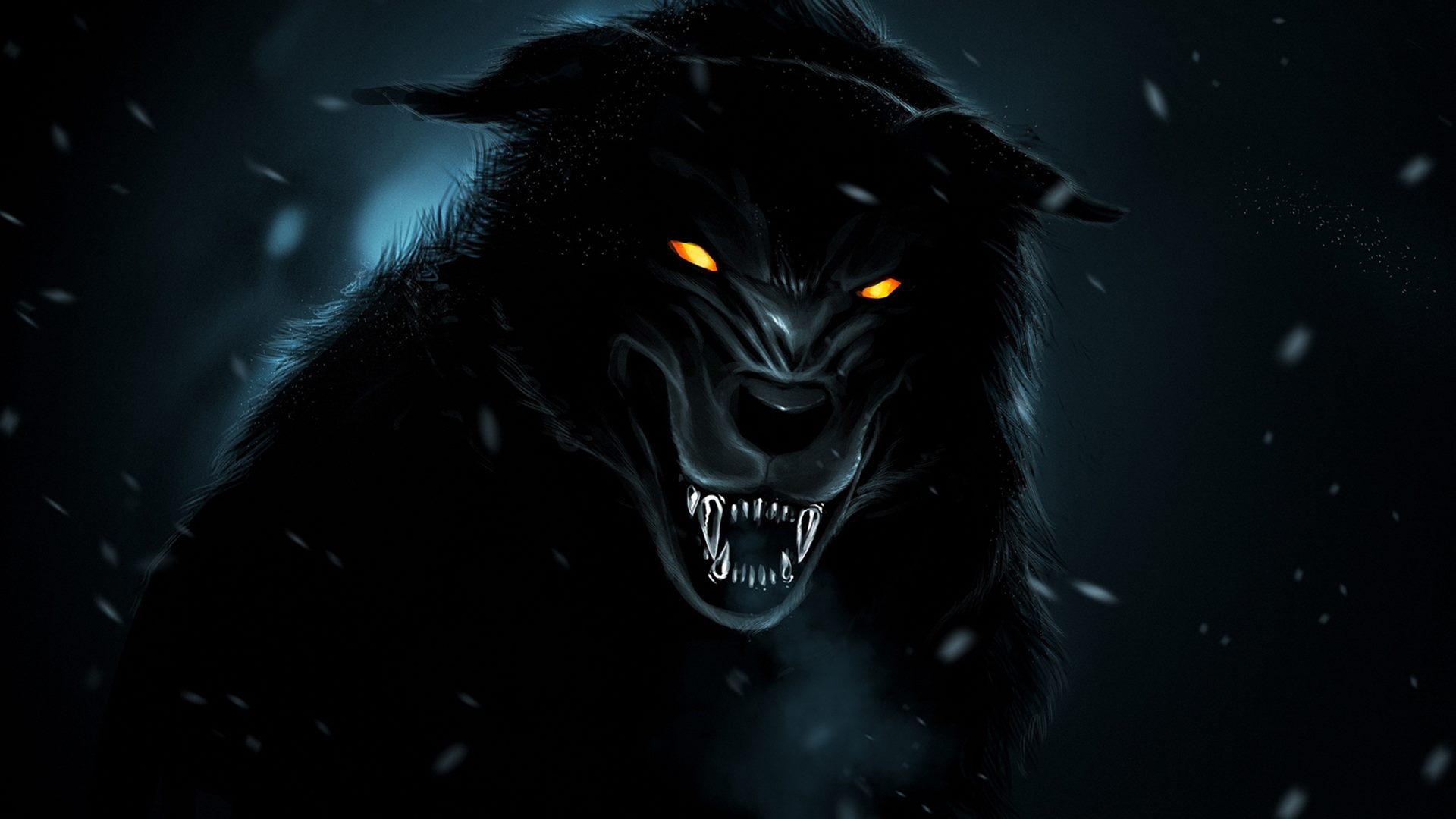 Black Wallpaper Wolf Images Hd - HD Wallpaper 