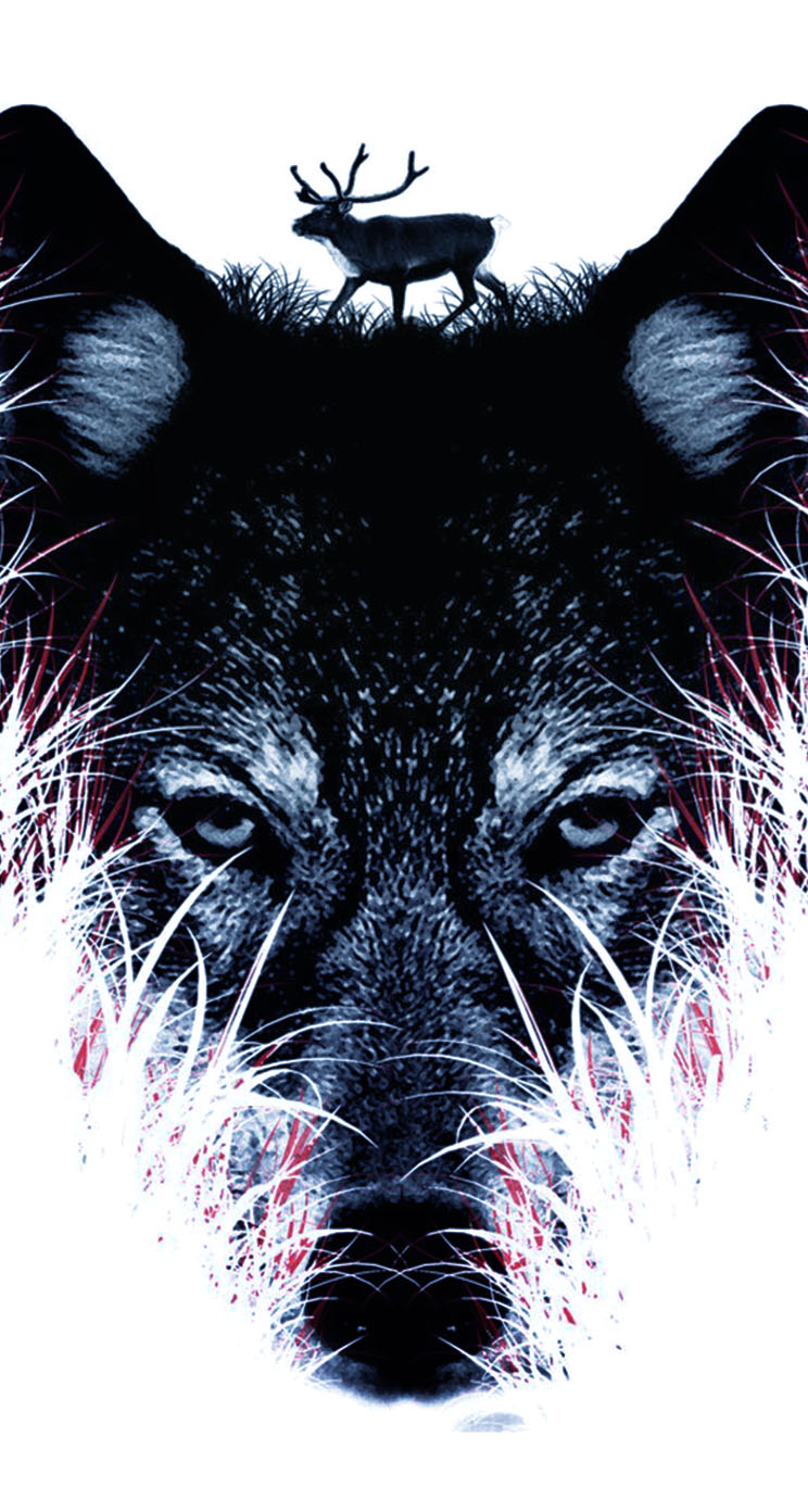 Abstract Wolf Wallpaper - Best Iphone Wallpaper Wolf - HD Wallpaper 