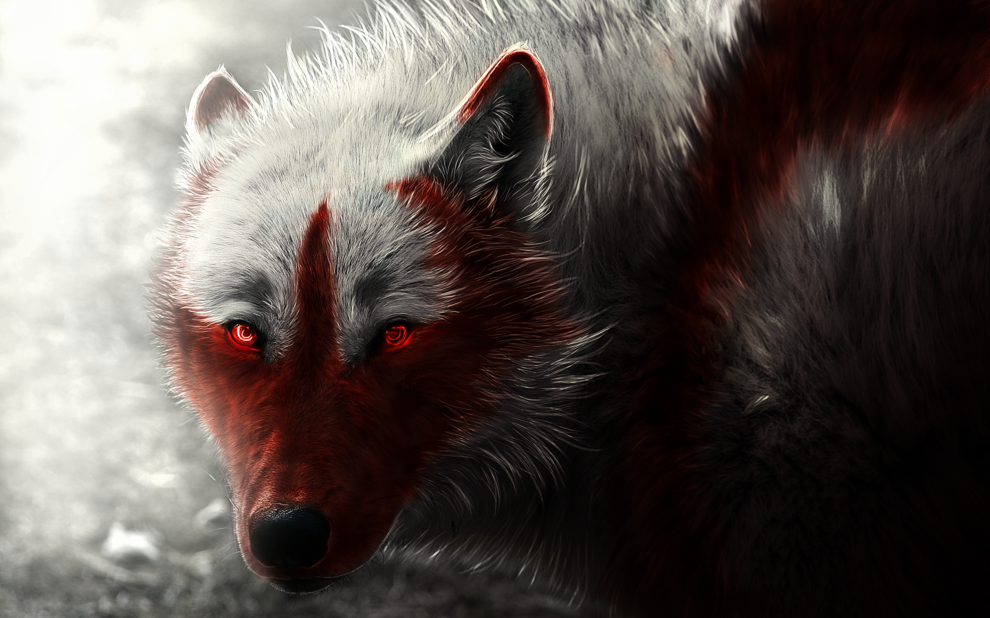 White Wolf Red Eyes - HD Wallpaper 