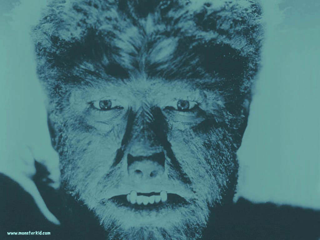 Lon Chaney Jr Wolfman - HD Wallpaper 