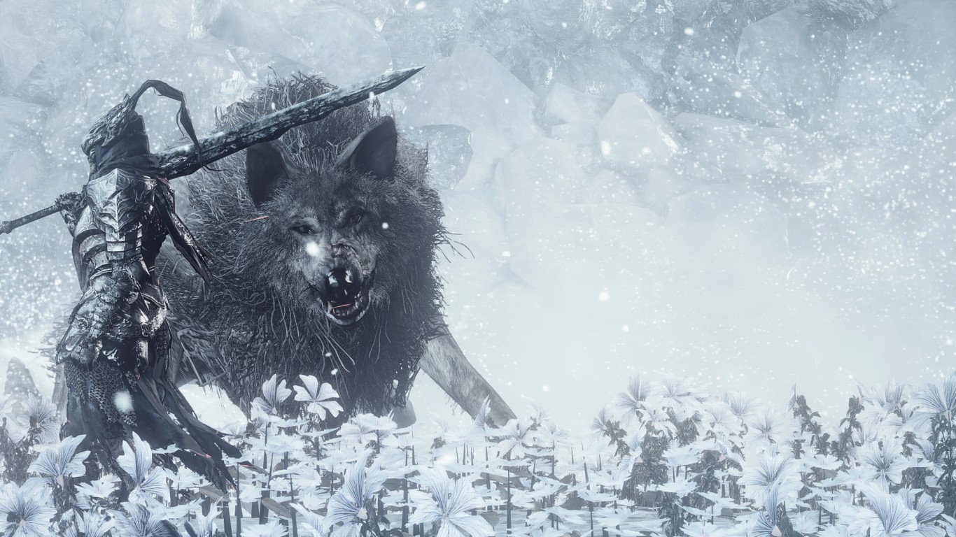 Dark Souls Iii, Wolf, Knight, Sword, Snow, Monster - Dark Souls Wolf Wallpaper Hd - HD Wallpaper 