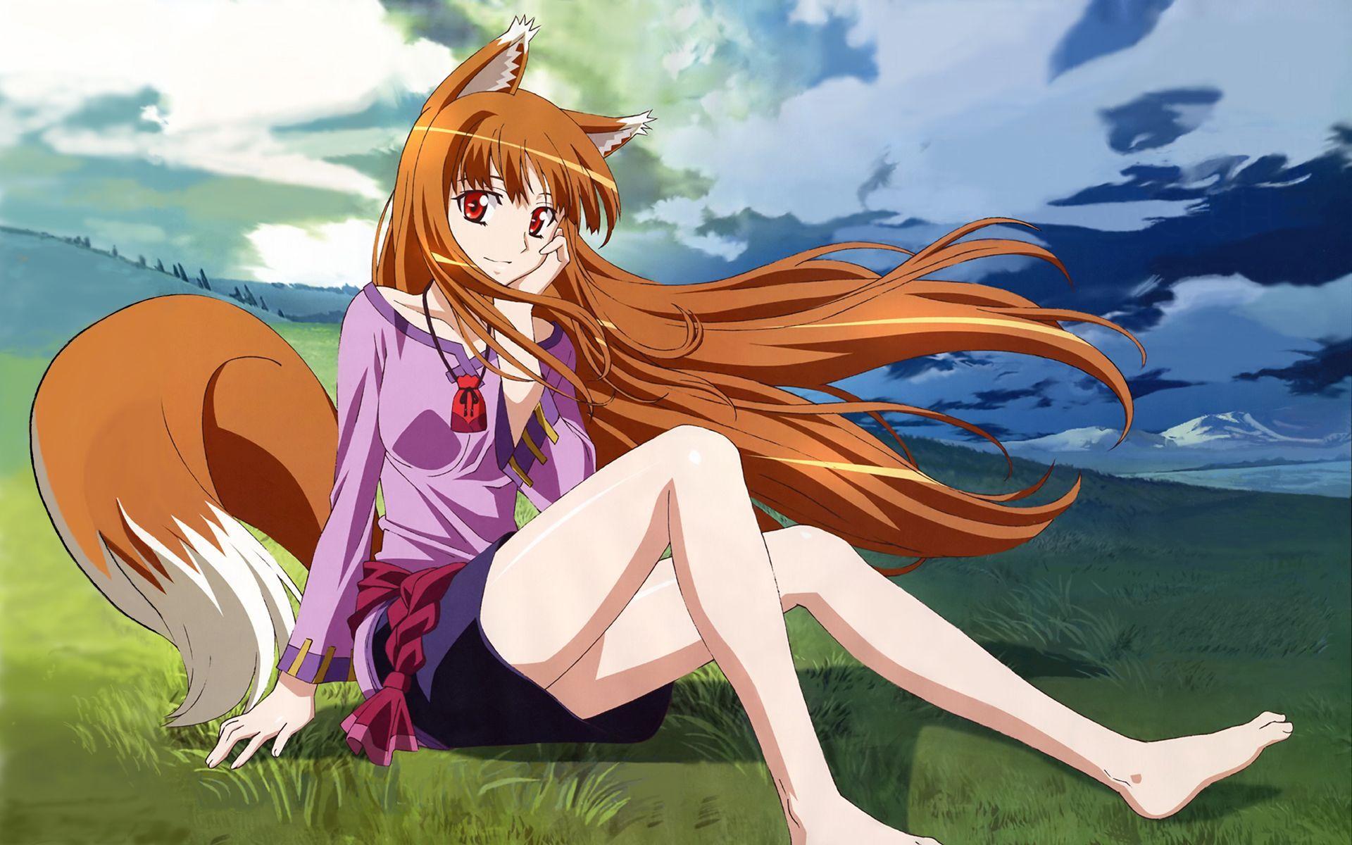 252-2527227_hd-holo-in-spice-and-wolf-wallpaper.jpg
