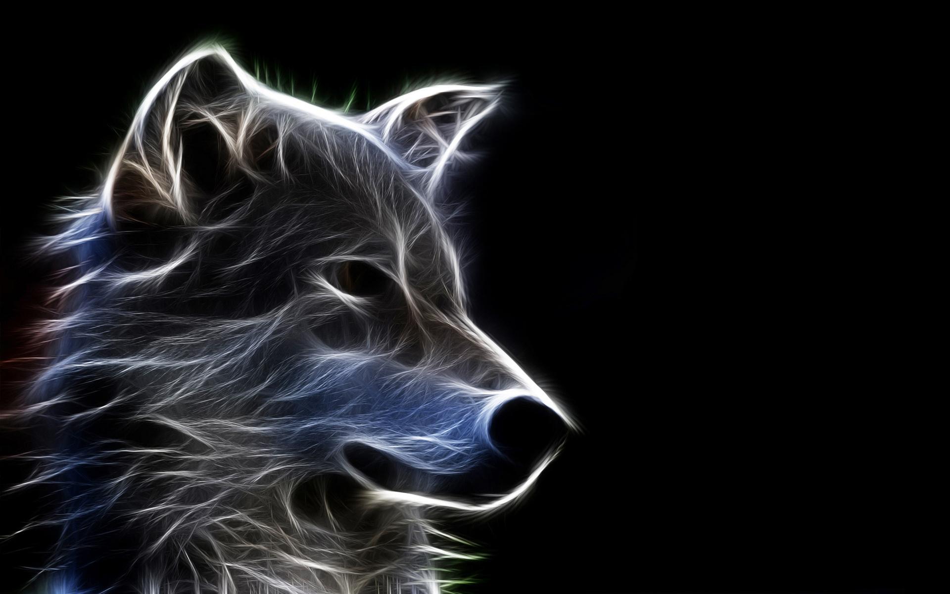 Wolf Wallpaper Hd - HD Wallpaper 