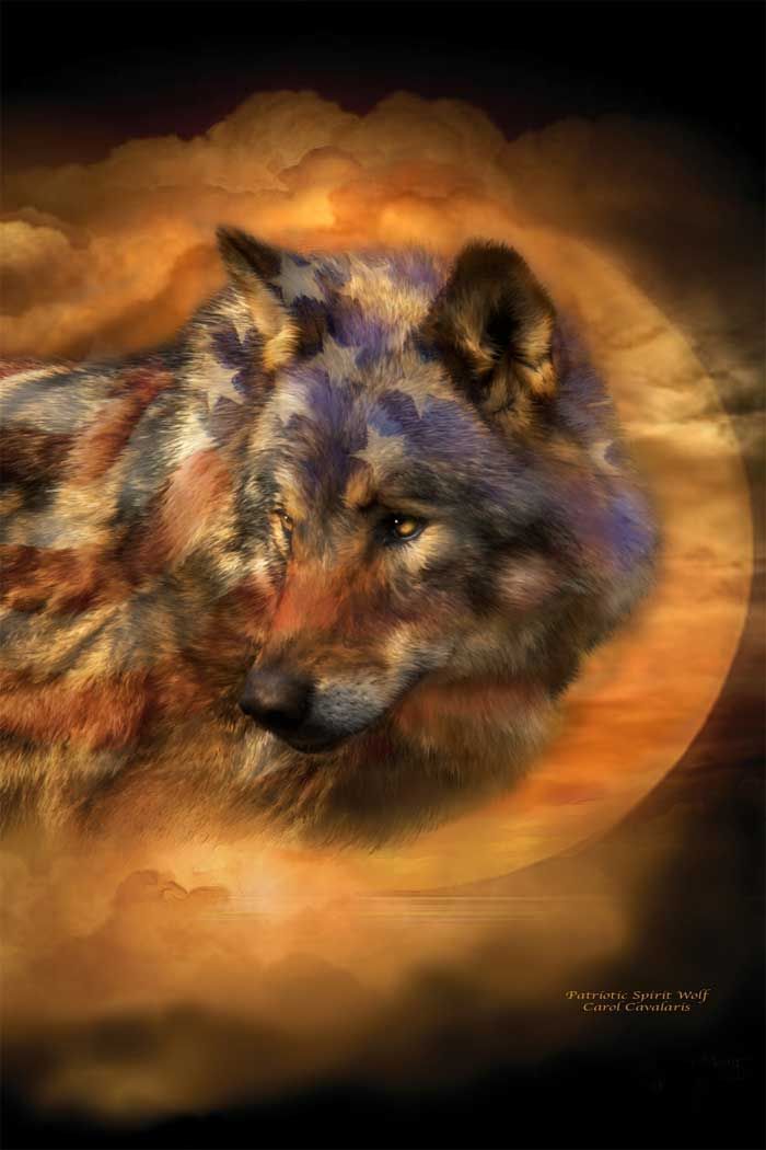 4th Of July Wolf - HD Wallpaper 