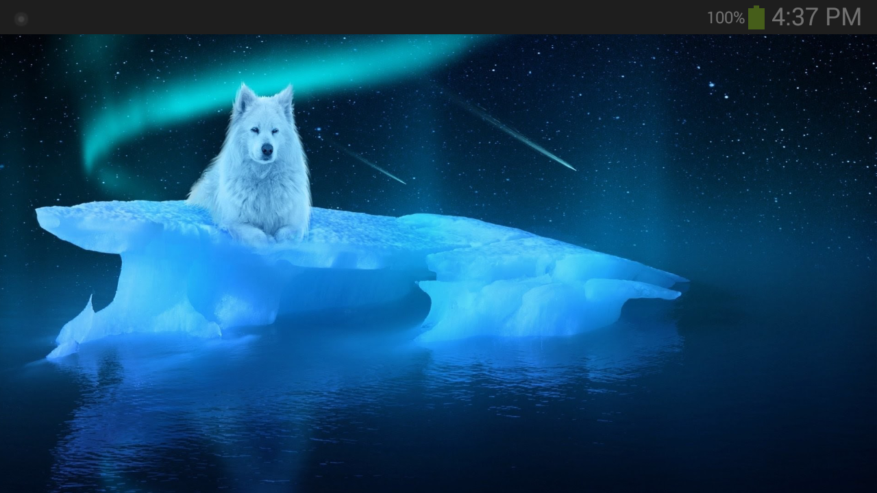 Ice Wolf Full Hd - HD Wallpaper 