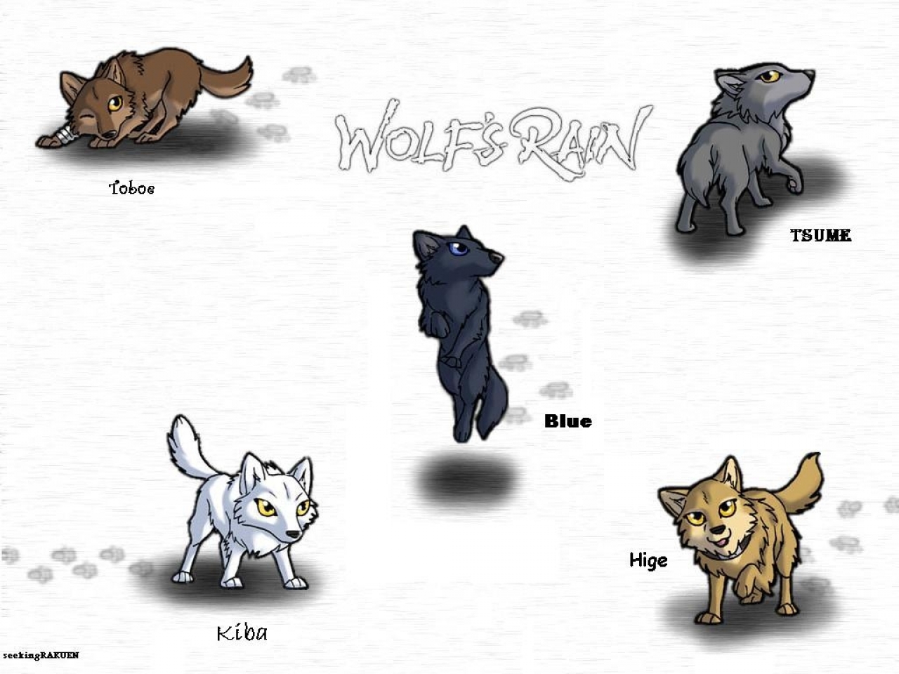 Anime Wolf Pack Wolf Pack Wallpaper The Beautiful And - Wolf's Rain Chibi - HD Wallpaper 