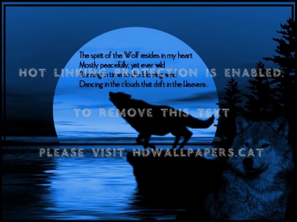 Spirit Of The Wolf Wallpaper Water Verse - Spirit Animal Wolf Background - 1024x768 Wallpaper Spirit Of The Wolf Wallpaper Water Verse - Spirit Animal Wolf Background - 1024x768 Wallpaper