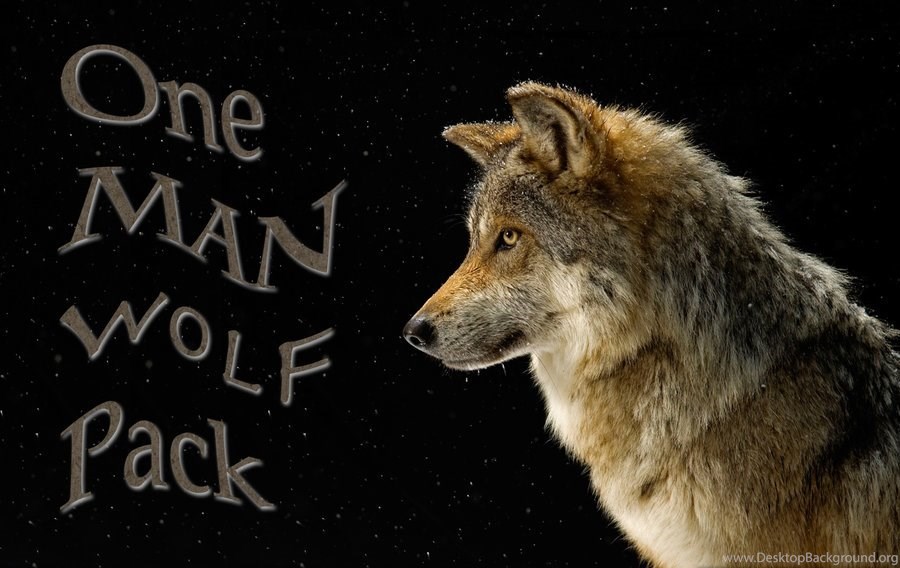 Wolf Pack Wallpaper - Photographer Joel Sartore - HD Wallpaper 