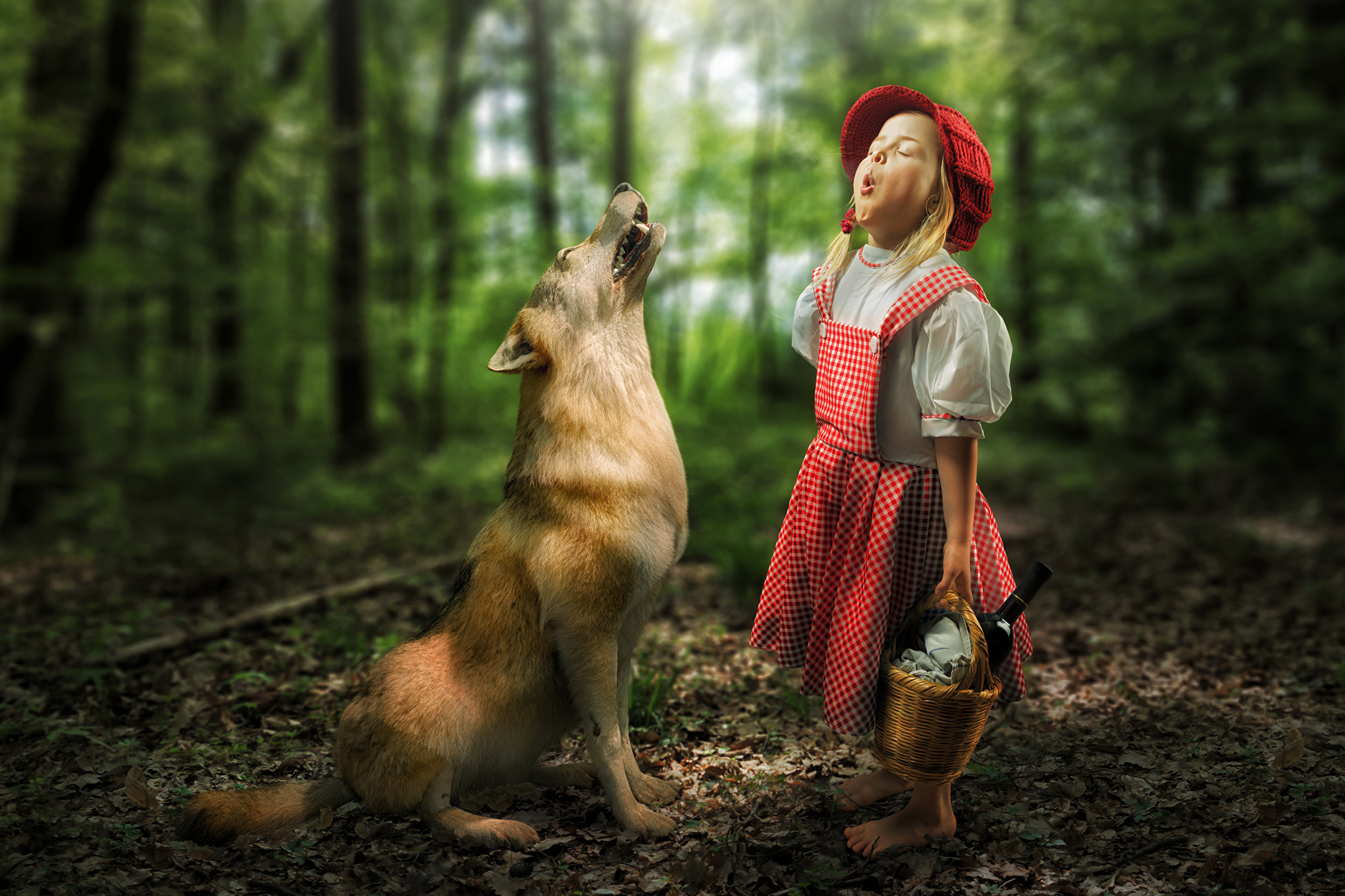 Photographe Suisse John Wilhelm - HD Wallpaper 