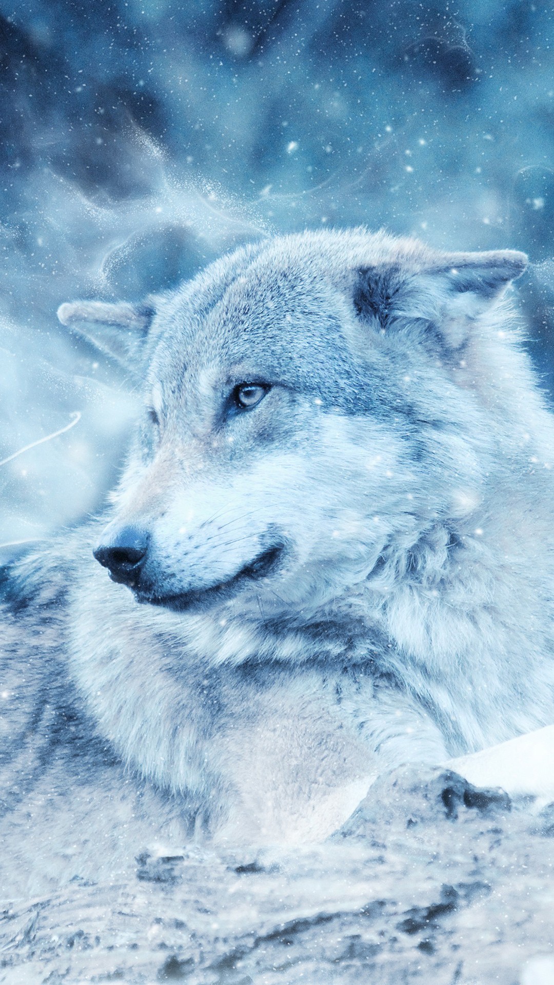 Iphone Wolf Wallpaper Hd Android - HD Wallpaper 