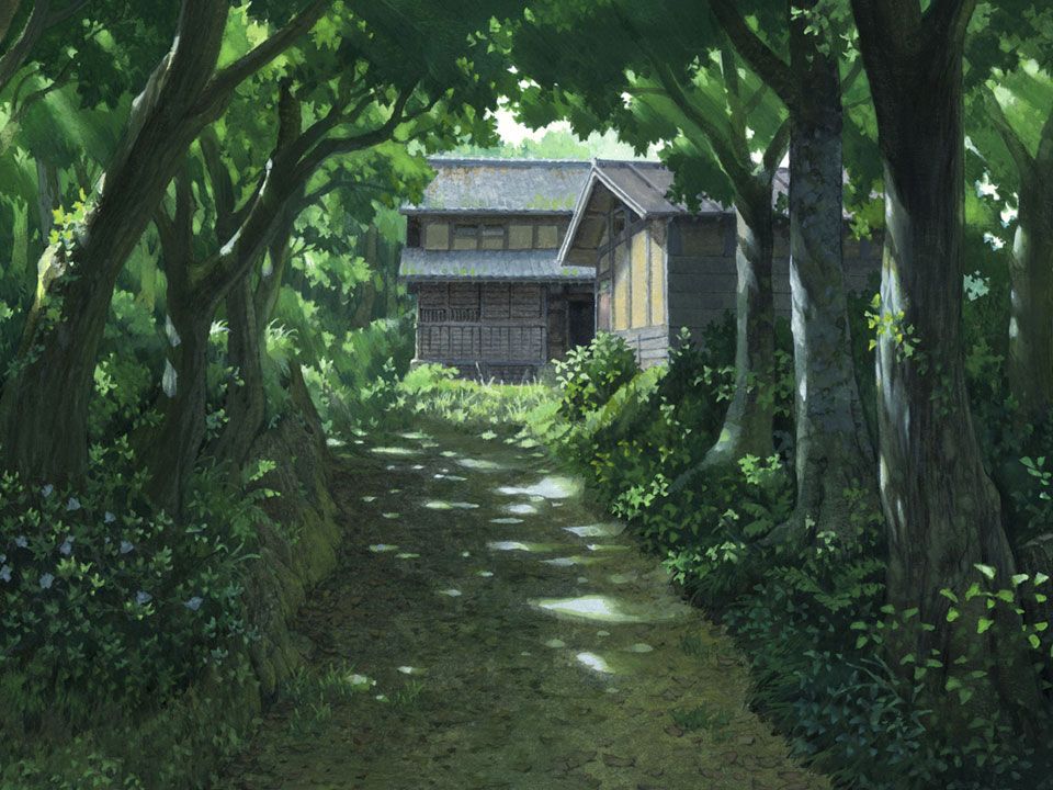 Wolf Children Wallpaper - Wolf Children Aesthetic - HD Wallpaper 