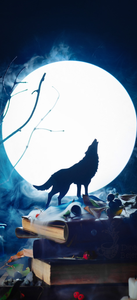 Downloaded From Allhdwallpapers - Iphone Moon Wolf - HD Wallpaper 