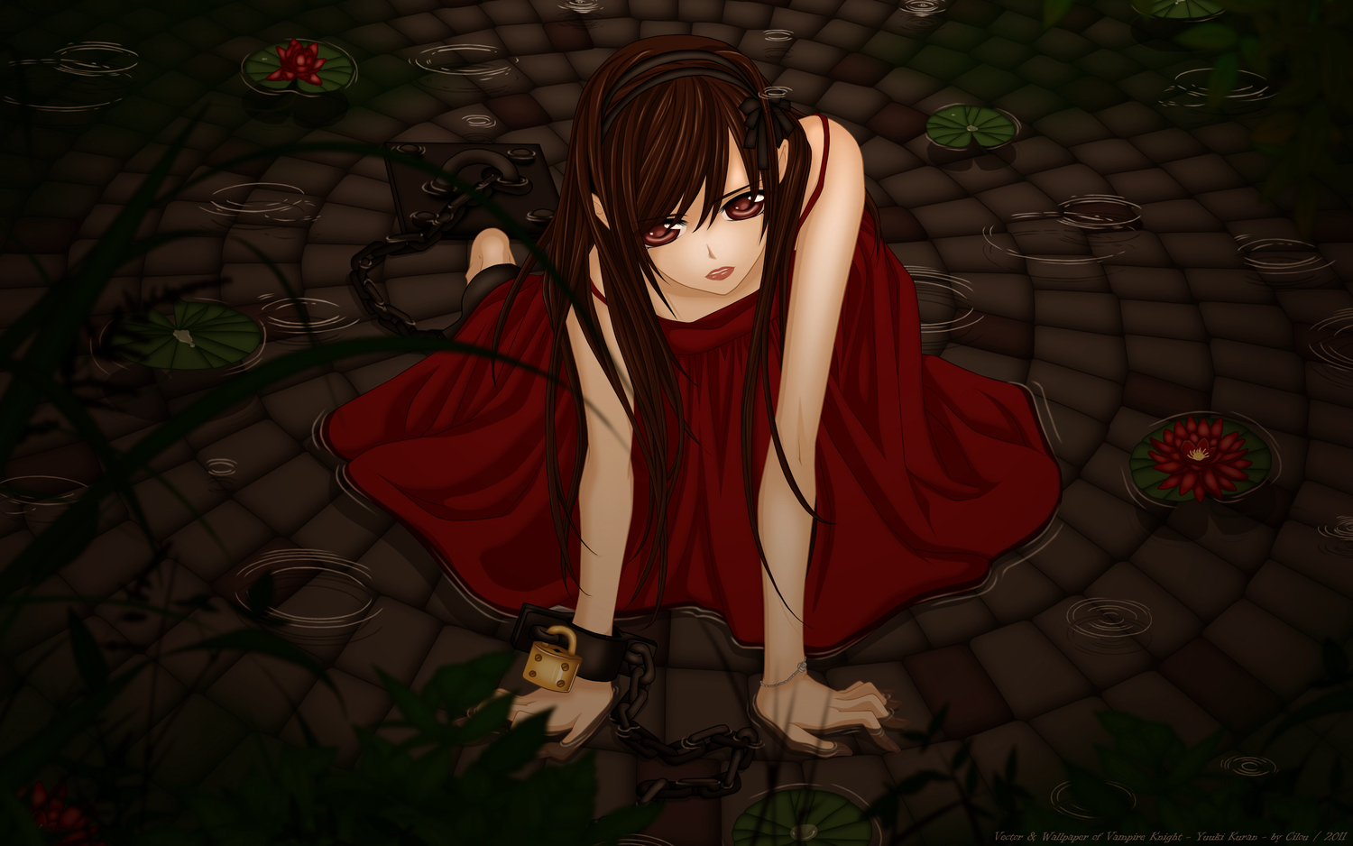 Wallpaper - HD Wallpaper 