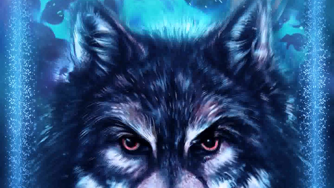 Wolf Head - HD Wallpaper 
