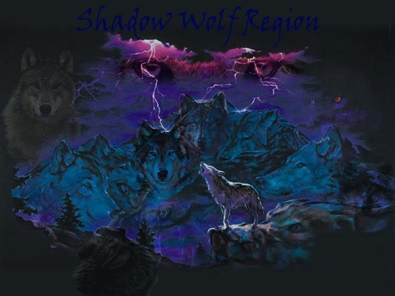 Shadows Of The Wolf Spirit Dark Spirits Wolves Hd Wallpaper,animals - Shadow Wolf Dark Wolf - HD Wallpaper 