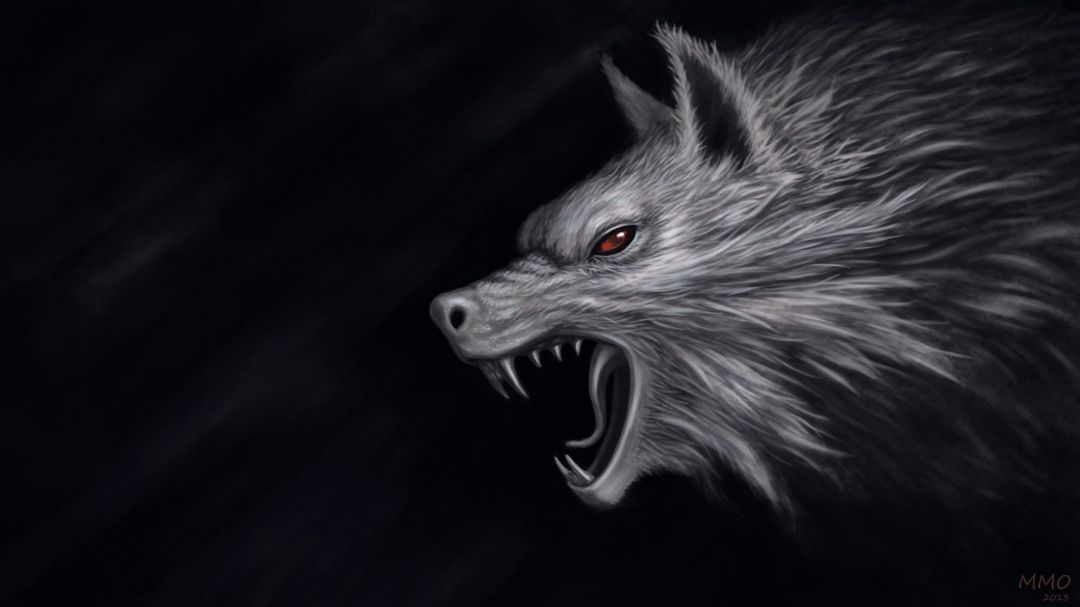 Android, Iphone, Desktop Hd Backgrounds / Wallpapers - Wolf Hd - HD Wallpaper 