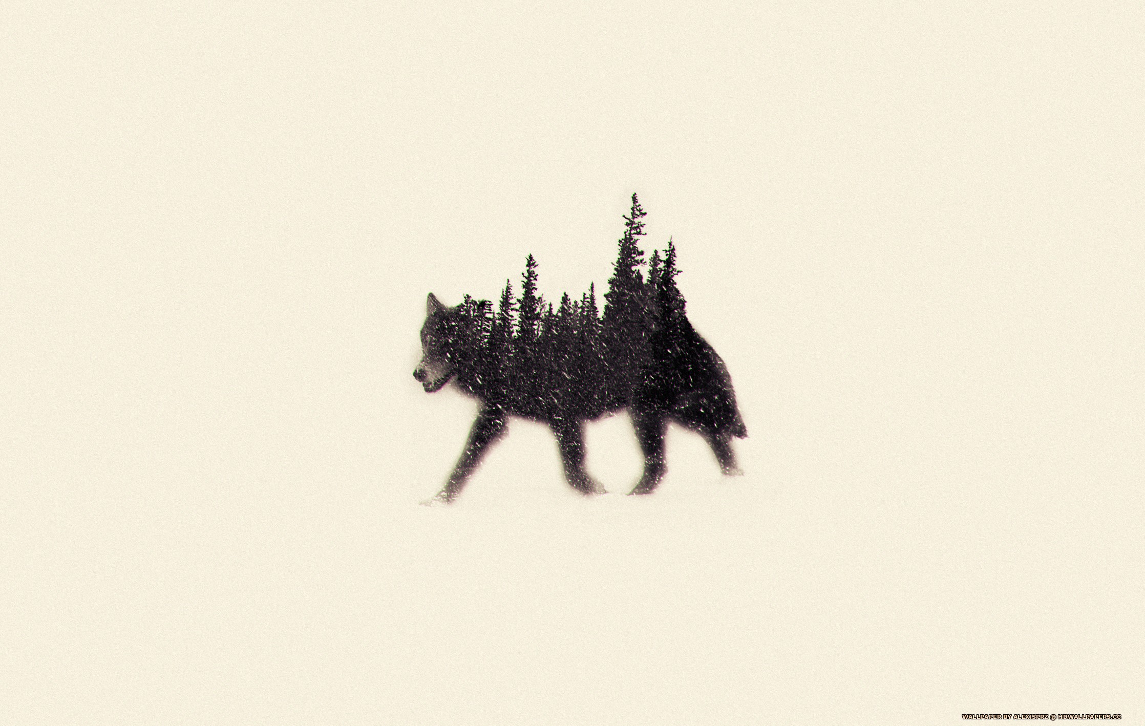 Wolf - Silhouette - HD Wallpaper 