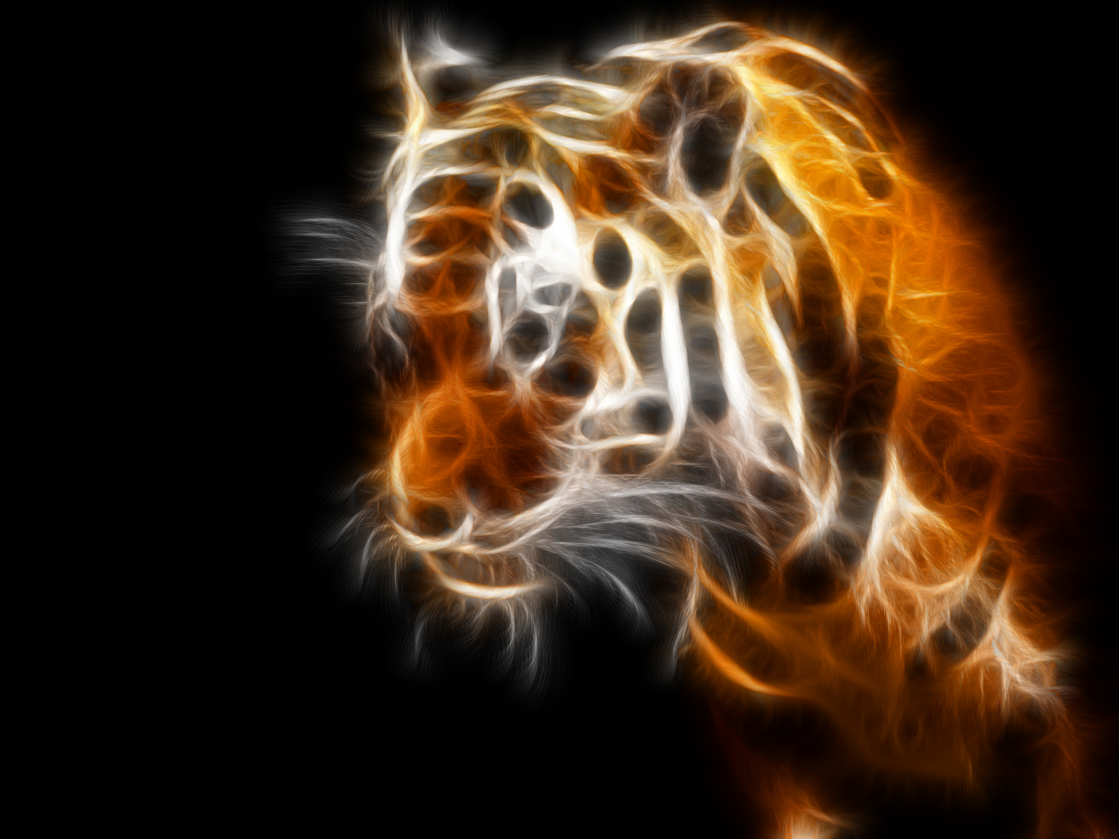 Fractal Tiger - HD Wallpaper 