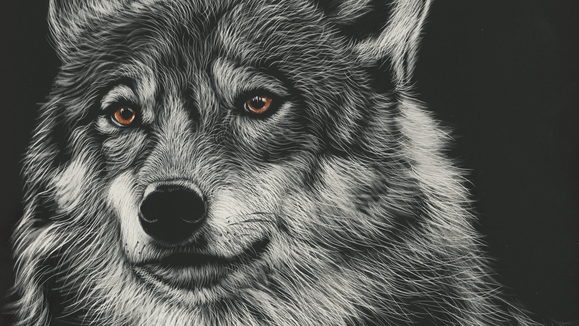 Wallpaper Wolf, Drawing, Art, Predator, Head - Wolf And Background Drawing - HD Wallpaper 