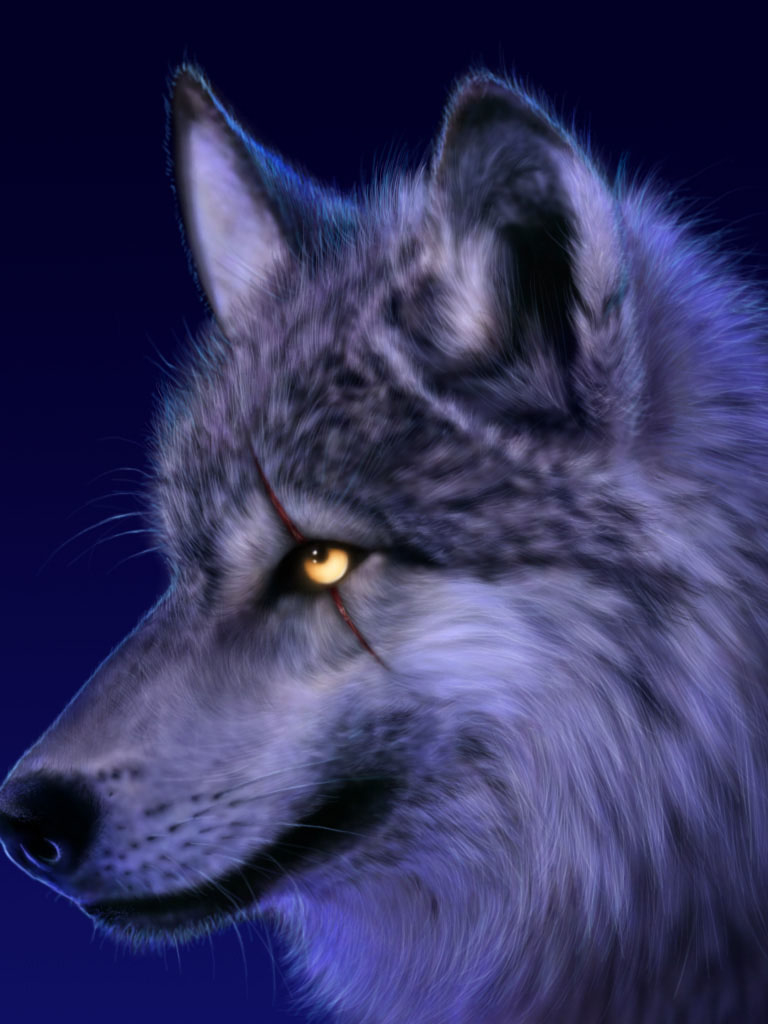 Majestic Pictures Of Wolves - HD Wallpaper 