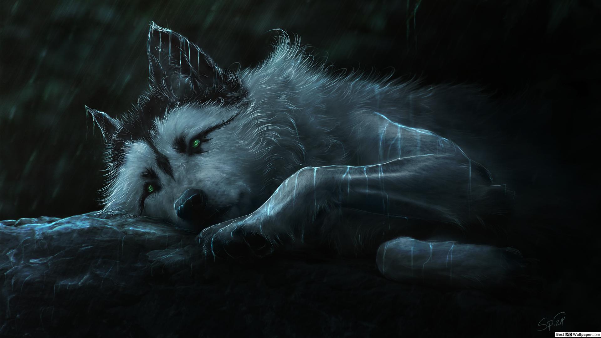 Best Wolf Wallpaper 4k - HD Wallpaper 