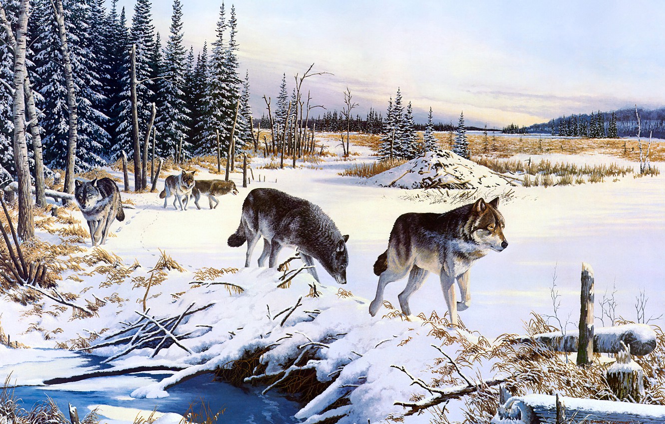 Photo Wallpaper Winter, Field, Forest, The Sky, Snow, - Snow - HD Wallpaper 