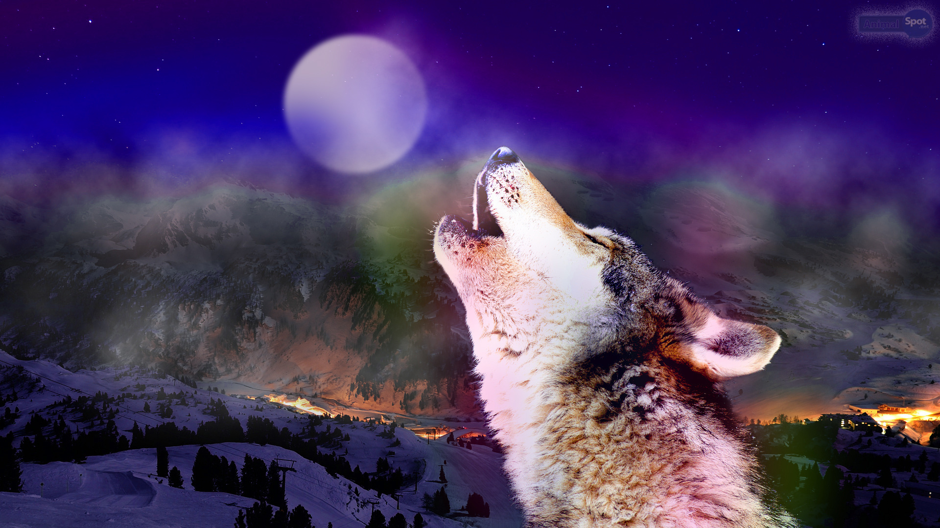 Fantasy Wolf - HD Wallpaper 