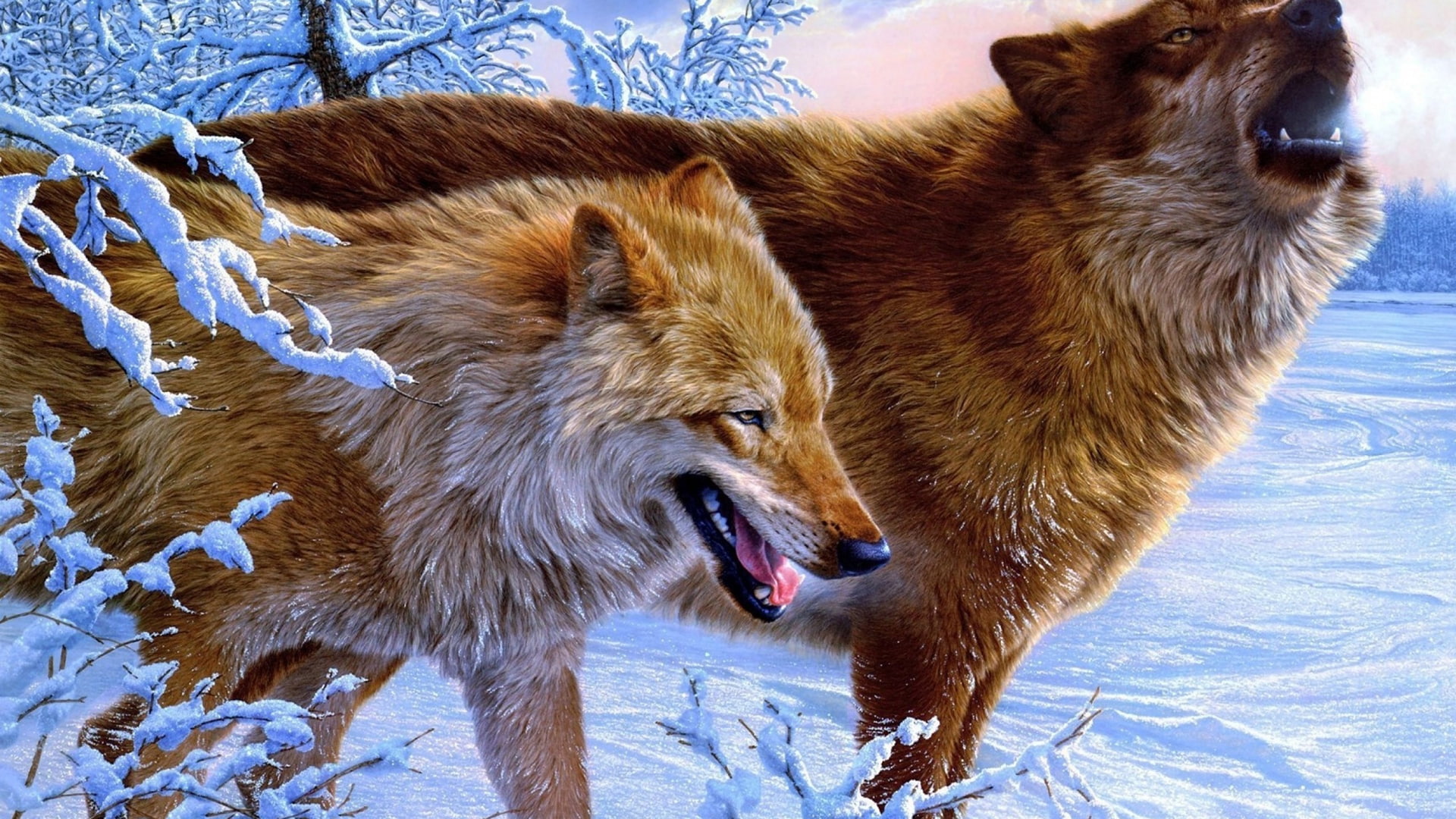 Best Animal Wallpaper Hd - HD Wallpaper 