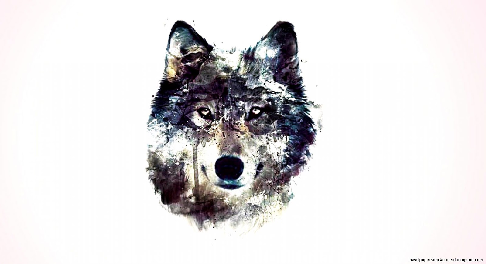 3d Wolf Tumblr Wallpapers Background - Wolf Background - HD Wallpaper 