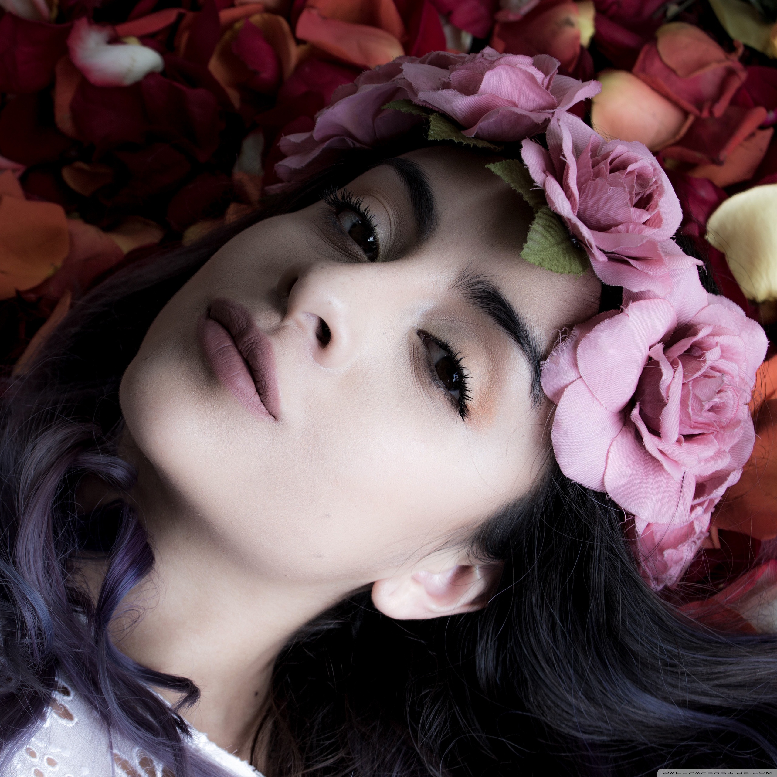 Snow White Real - HD Wallpaper 