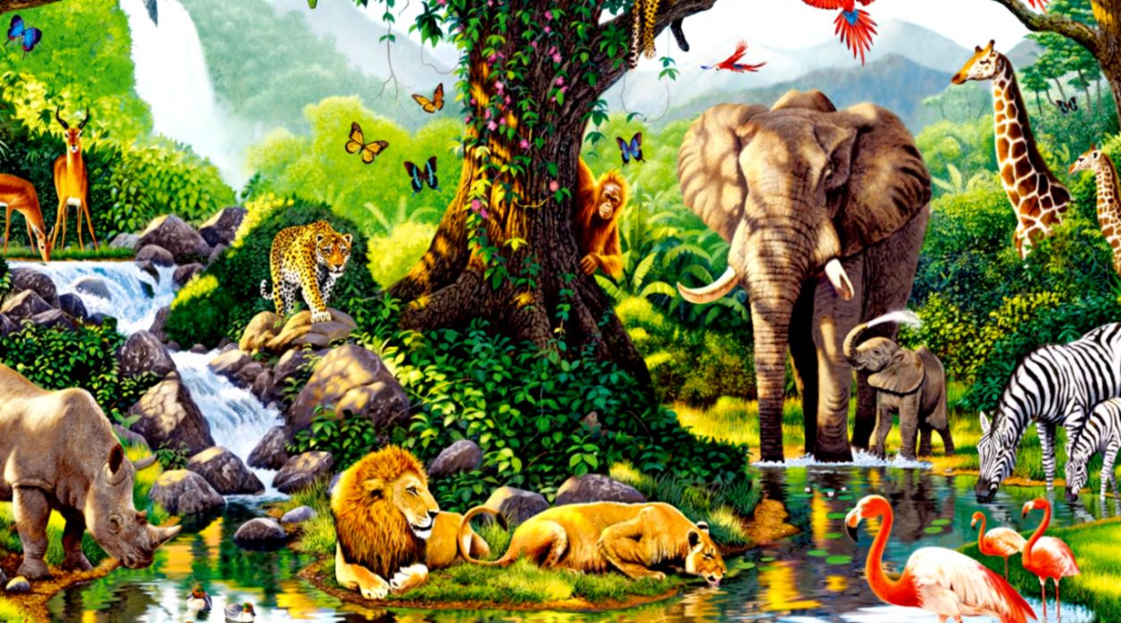 Jungle Animals Seven Desktop Pc And Mac Wallpaper - Background Jungle With Animals - HD Wallpaper 