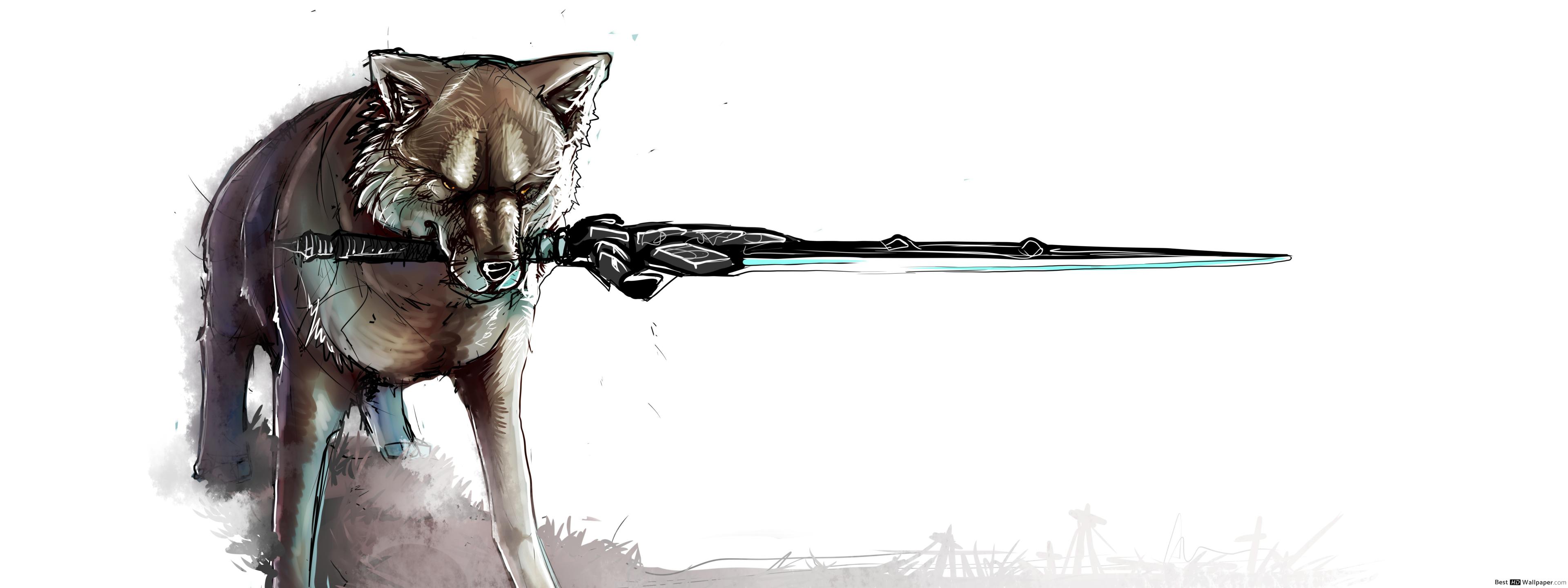 Wolf - HD Wallpaper 