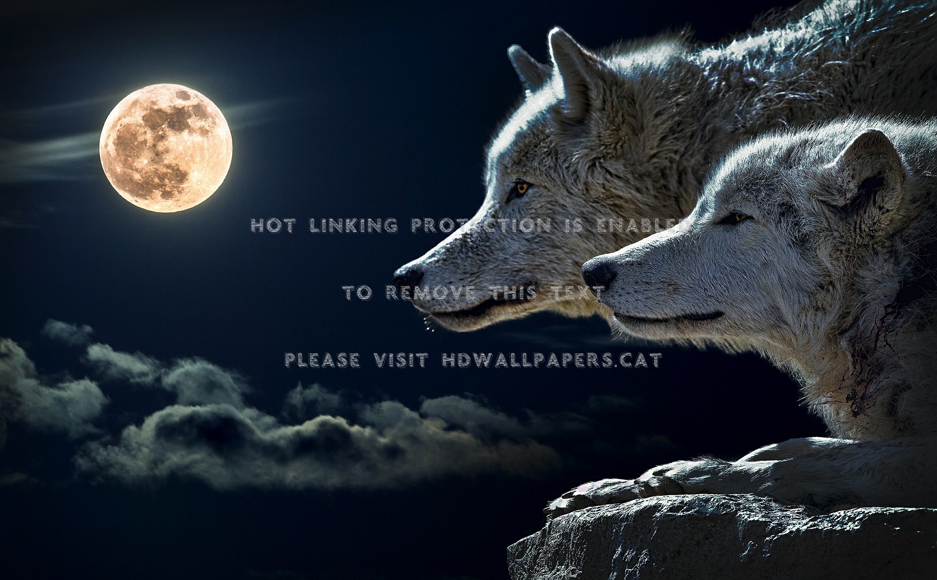 Torque Wolfs Moon Animal Night Clouds Dogs - Two Wolves And Moon - HD Wallpaper 