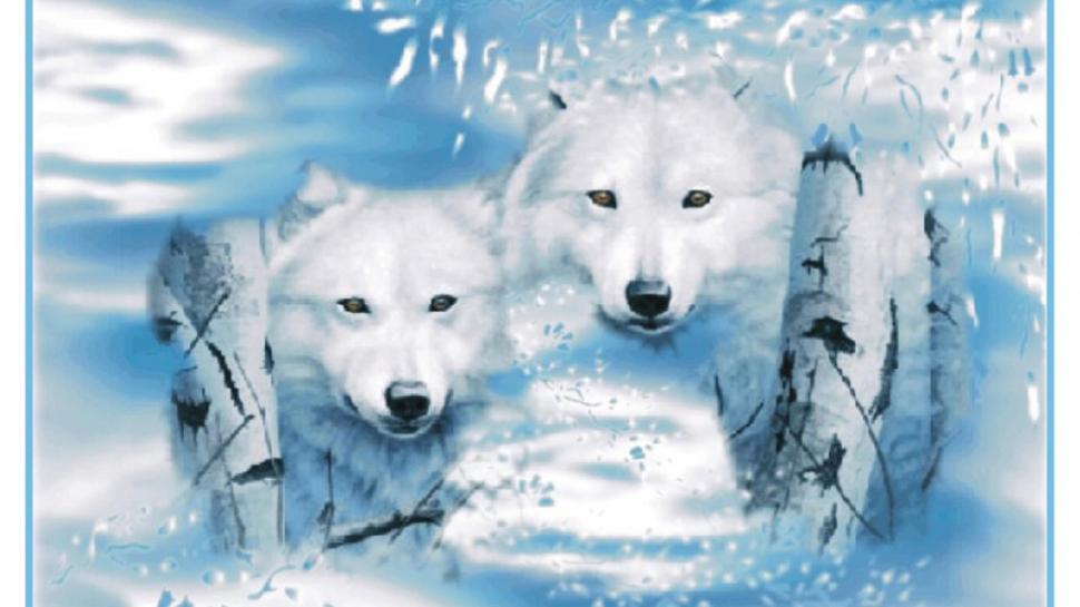 Frost Wolf Wallpaper,frost Hd Wallpaper,grey Wolf Hd - HD Wallpaper 