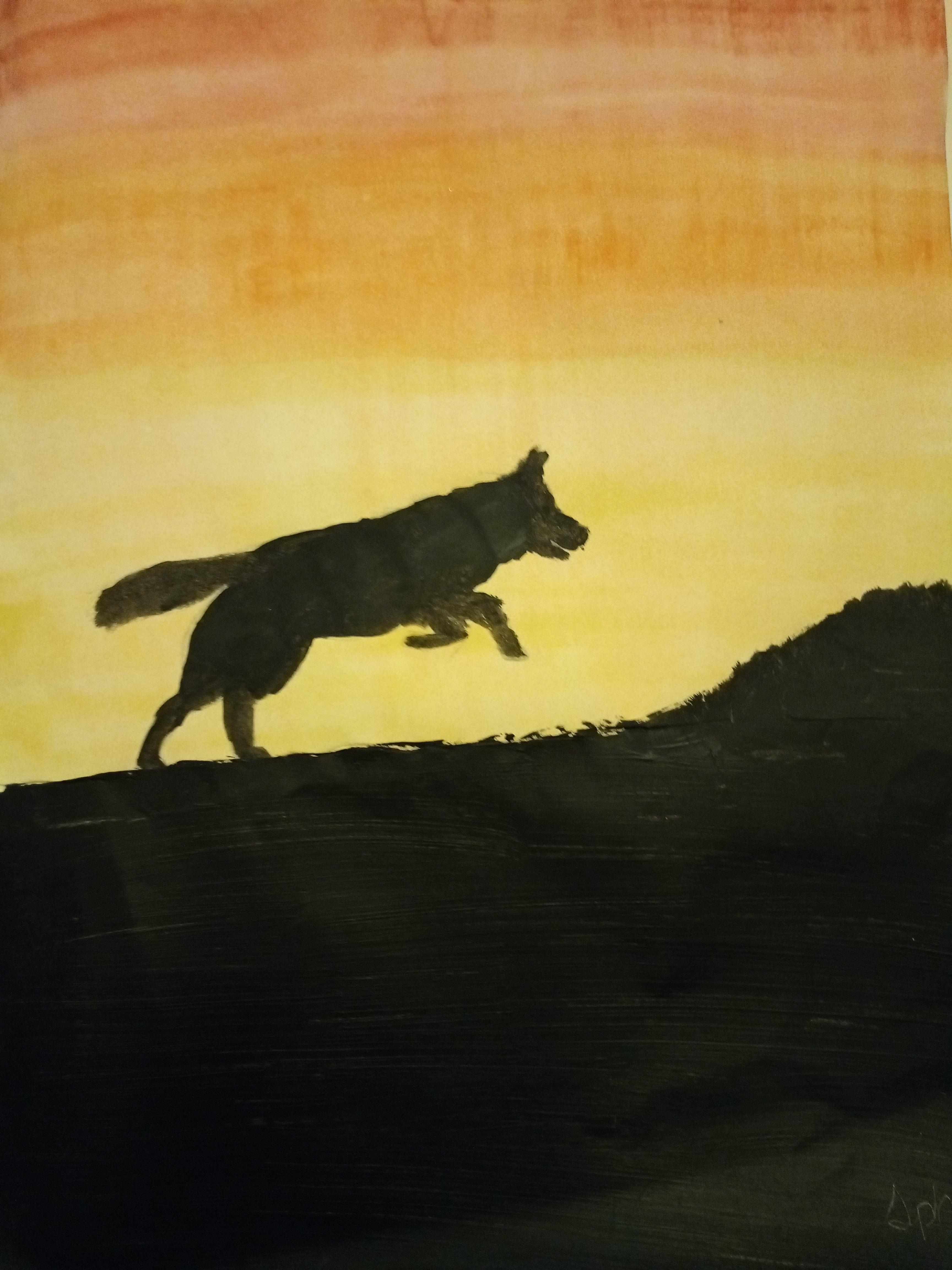 Wolf Mobile Wallpaper - HD Wallpaper 