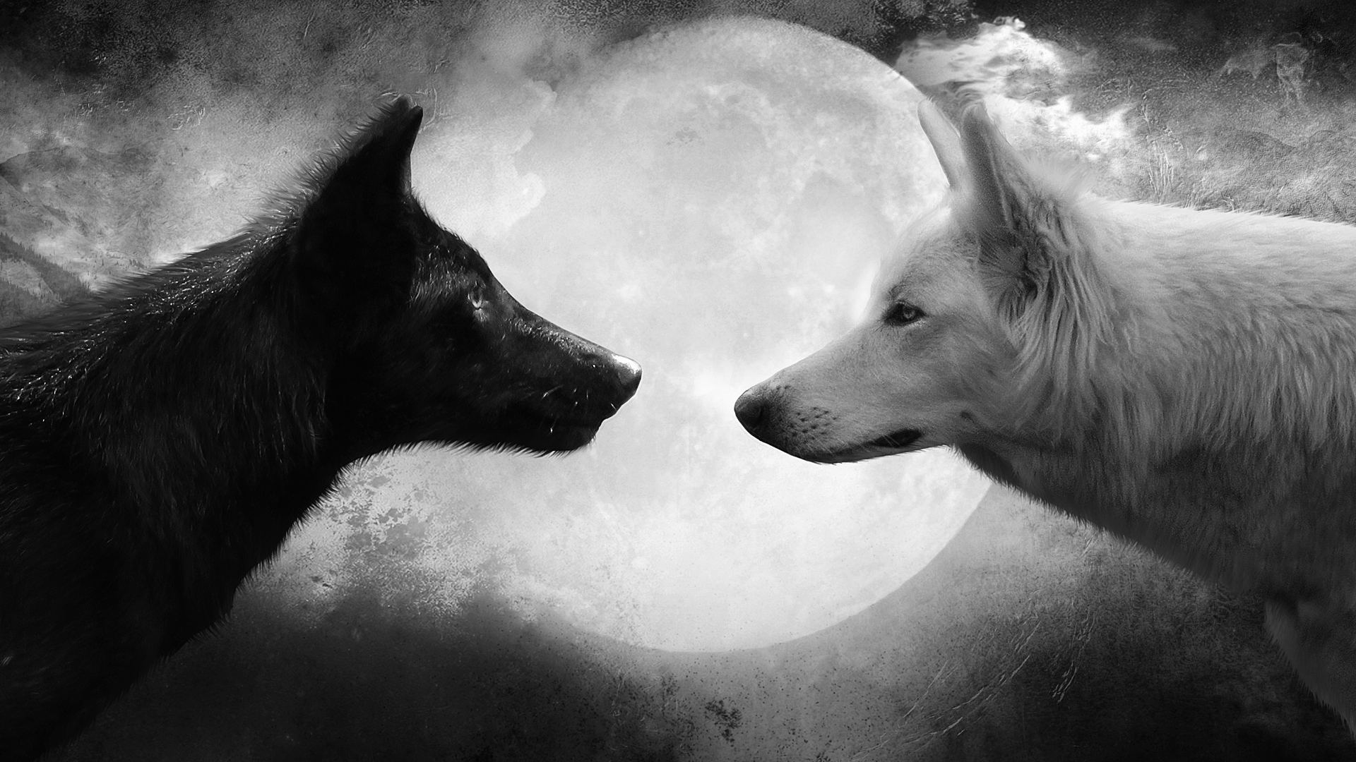 Wolf, Moon, And Black Image - HD Wallpaper 