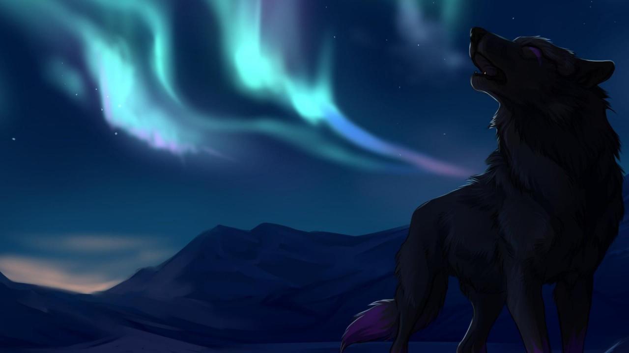 Wolf Howling At The Moon Wallpaper Blue - HD Wallpaper 