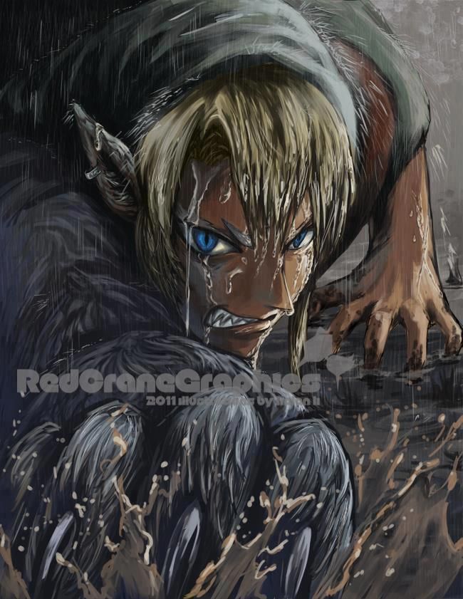 Twilight Princess Link Art - HD Wallpaper 