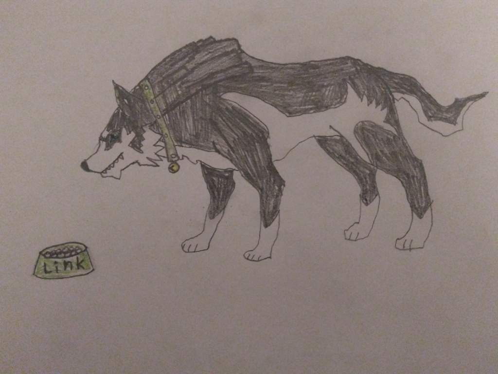 User Uploaded Image - Zelda As A Wolf Drawing - HD Wallpaper 