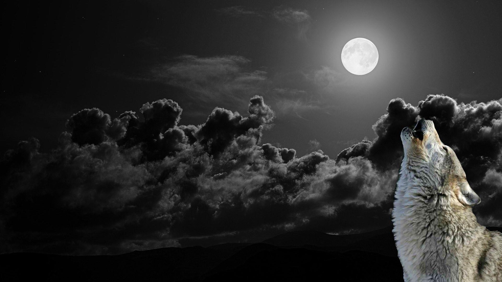 Clouds In The Moonlight - HD Wallpaper 