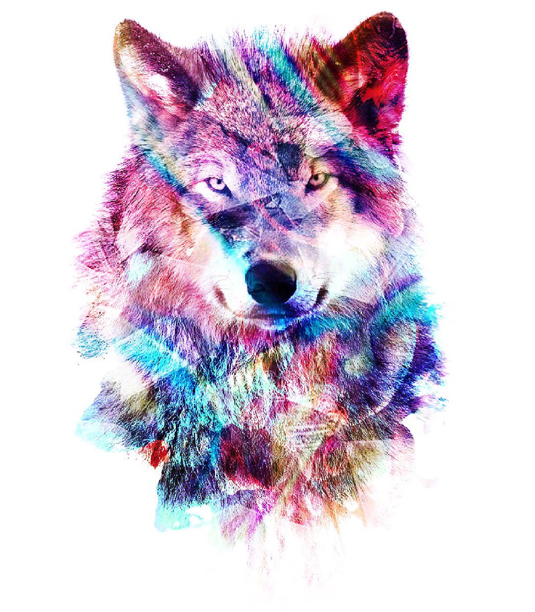 Red And Blue Wolves Tattoo - HD Wallpaper 