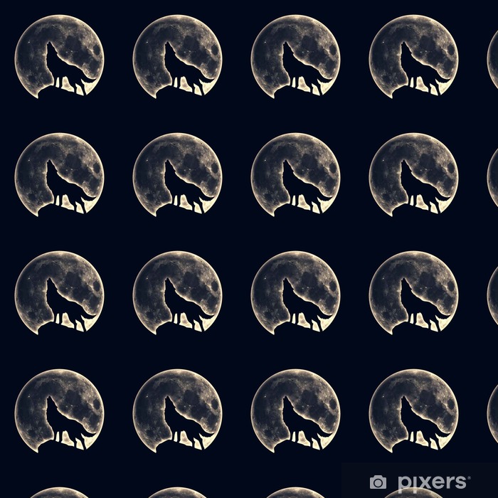 Marine Invertebrates - HD Wallpaper 