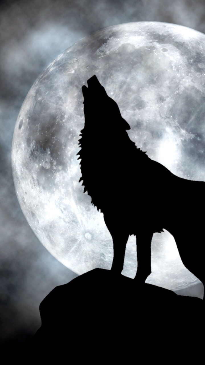 Wolf, Moon, And Wallpaper Image - Обои На Айфон Волк - HD Wallpaper 