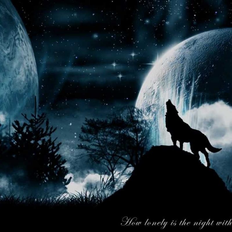 Howling Wolf Backgrounds - HD Wallpaper 