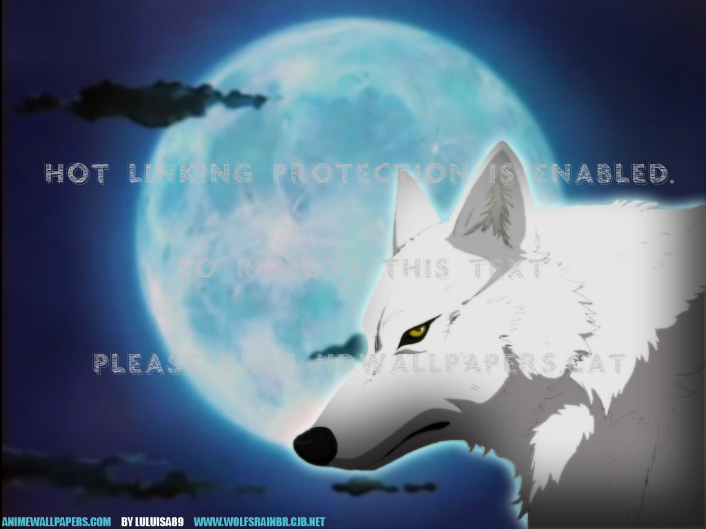Kiba Blue Moon Wolf Rain Anime - Wolf's Rain Anime - HD Wallpaper 