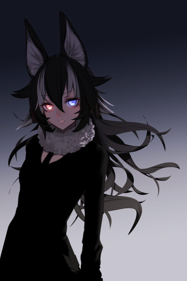 Grey Wolf Anime Girl - 640x960 Wallpaper Grey Wolf Anime Girl - 640x960 Wallpaper