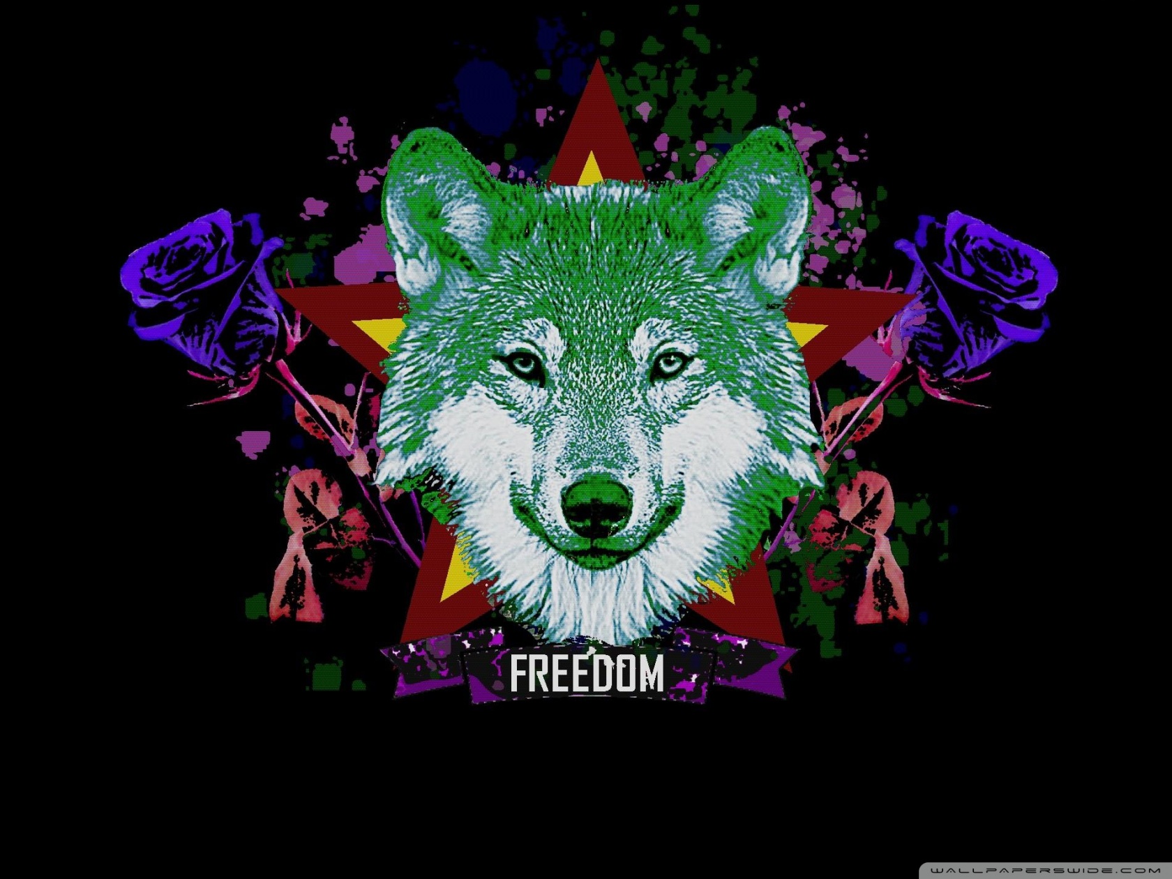 Gray Wolf - HD Wallpaper 
