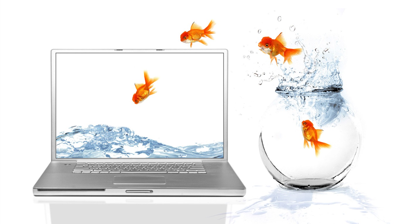 Jumping Goldfish Wallpaper - Team Work Core Values - HD Wallpaper 