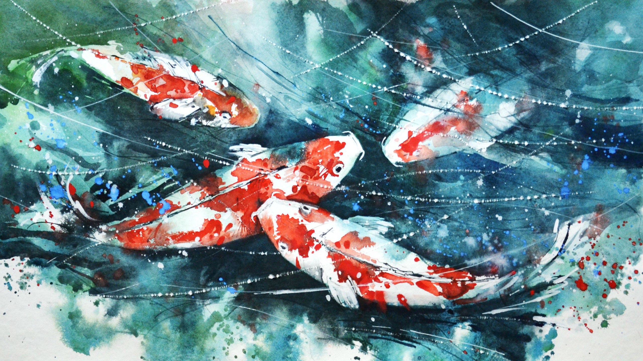 Koi Fish Wallpaper Hd - HD Wallpaper 